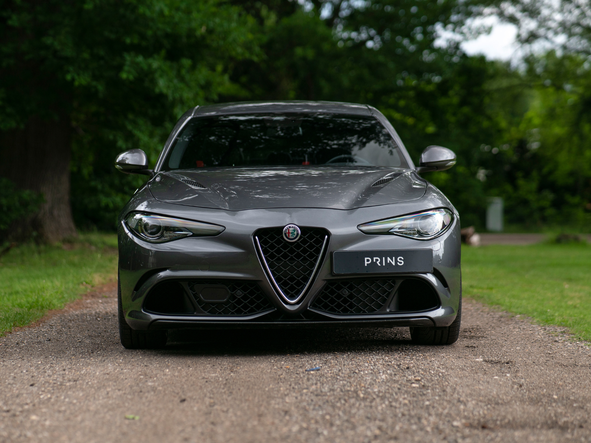 Druif strategie Positief Alfa Romeo Giulia - Prins